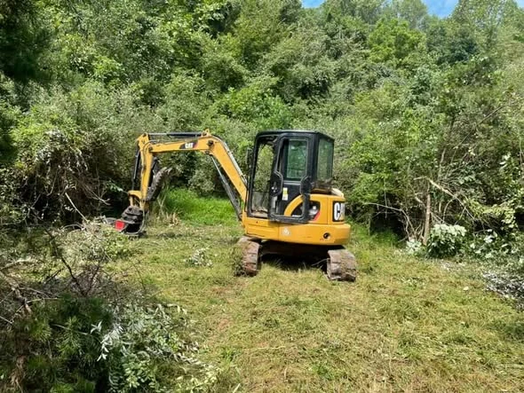 Excavator working in dense brush