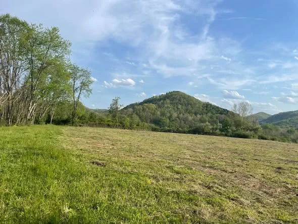 Field after brush mowing