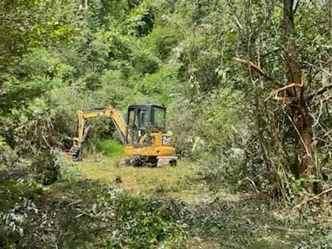Excavator working in brush