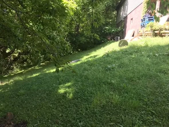 Yard before grading