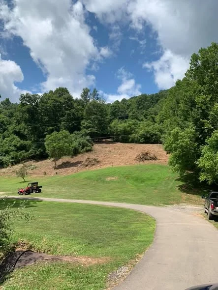 Hillside after brush removal