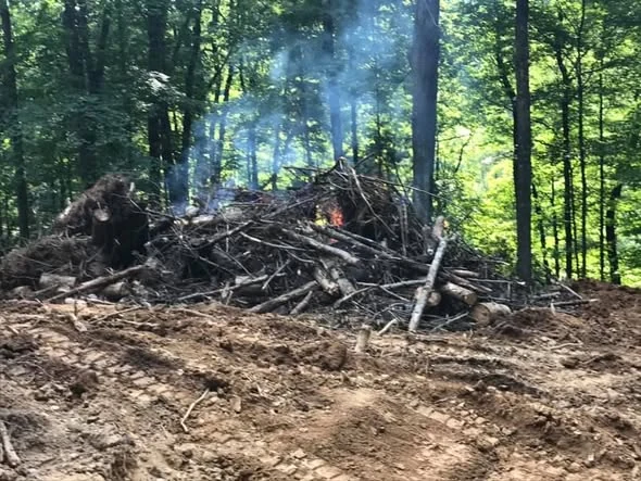 Brush pile during clearing