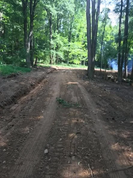 Cleared roadway in woods