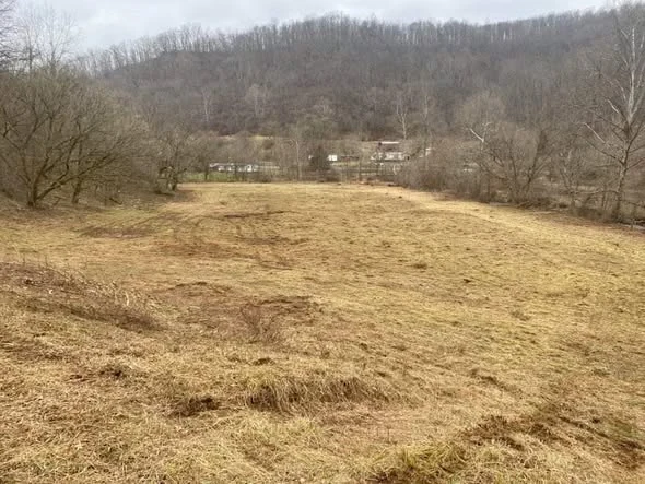 Mowed area at a later stage of cutting