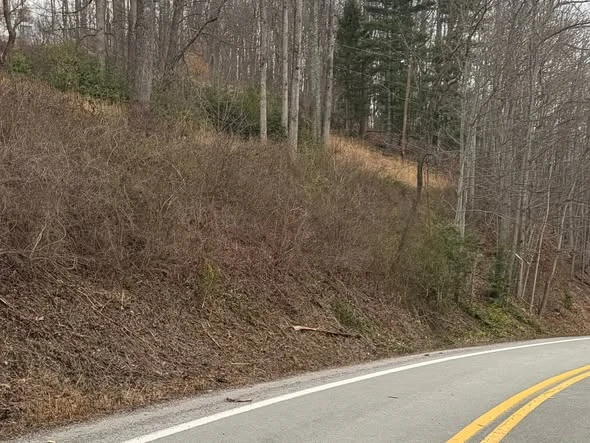 Road bank at a later stage of mowing