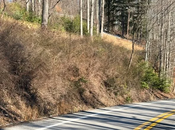 Road bank at an earlier stage of mowing