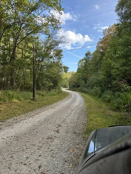 Roadside after mowing