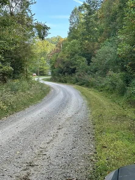 Roadside before mowing